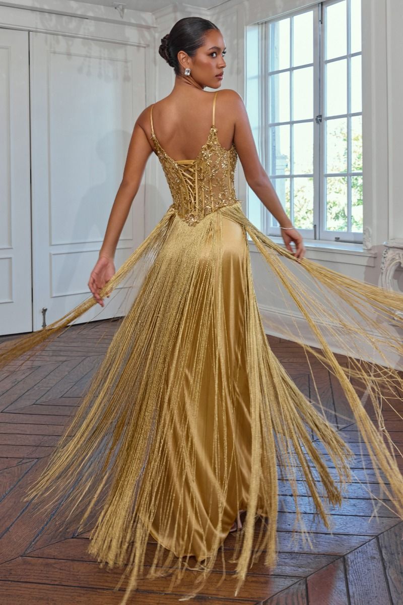 Fitted Fringe Gown With Beaded Bodice (CDS580)