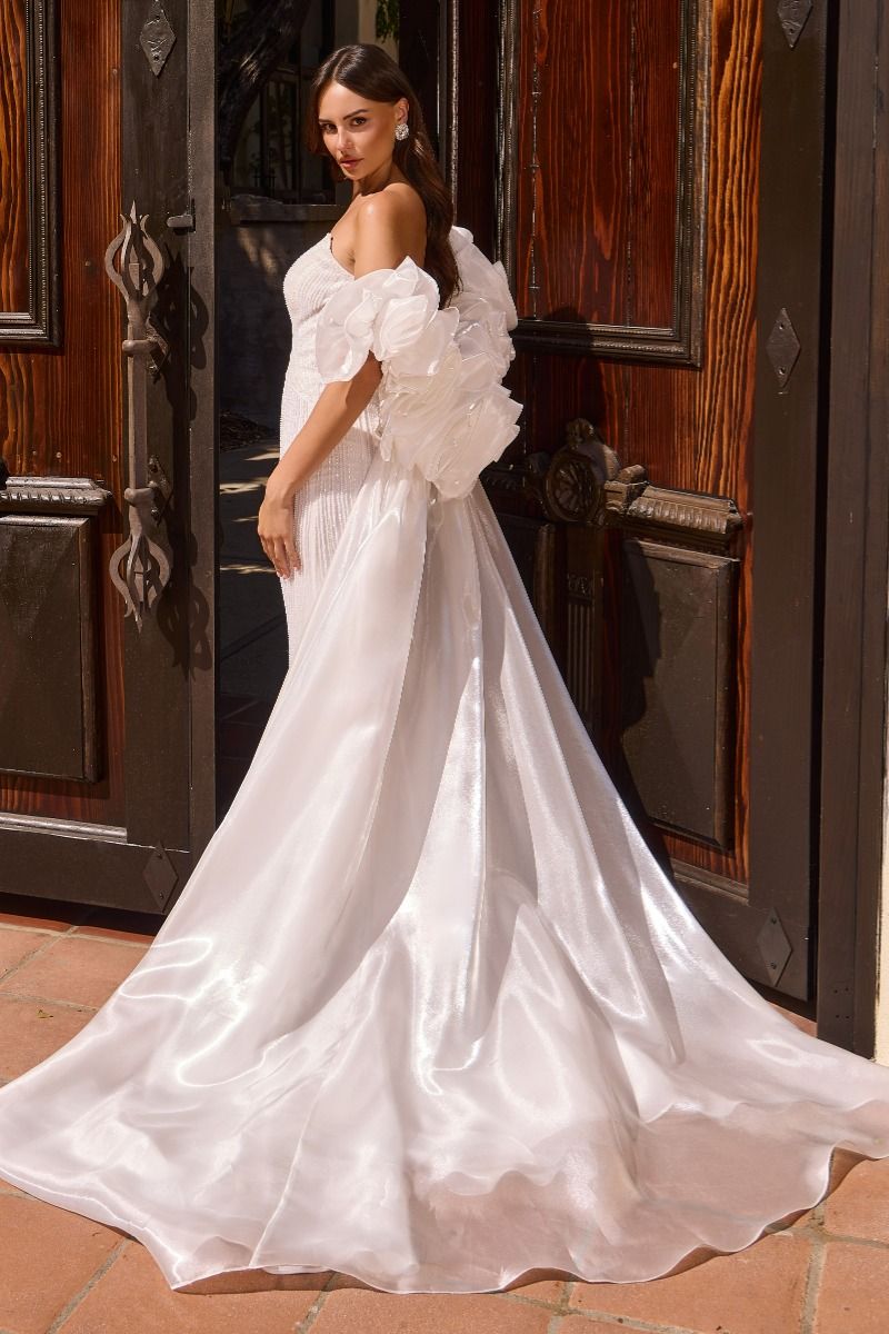 Strapless Beaded Mermaid Wedding Dress with Detachable Ruffled Overskirt Train(CJ933W)