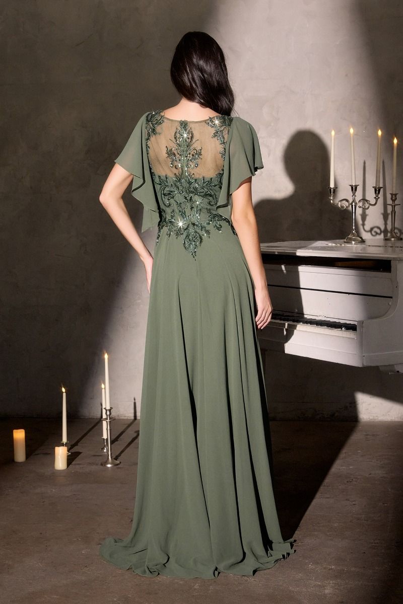 Opulent Illusion Beaded Chiffon A-Line Gown (CL09)