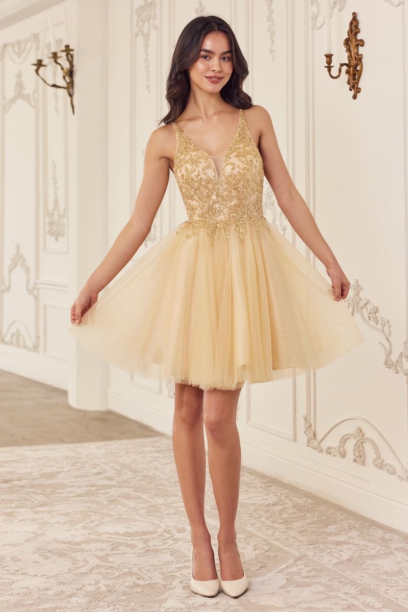 Beaded A-Line Layered Tulle Short Dress (CY022)