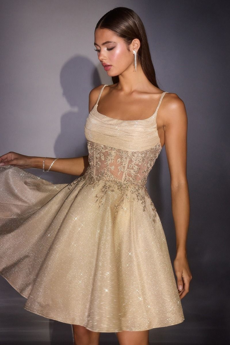 Shimmer Illusion Corset Fit-and-Flare Short Dress (KV1152)