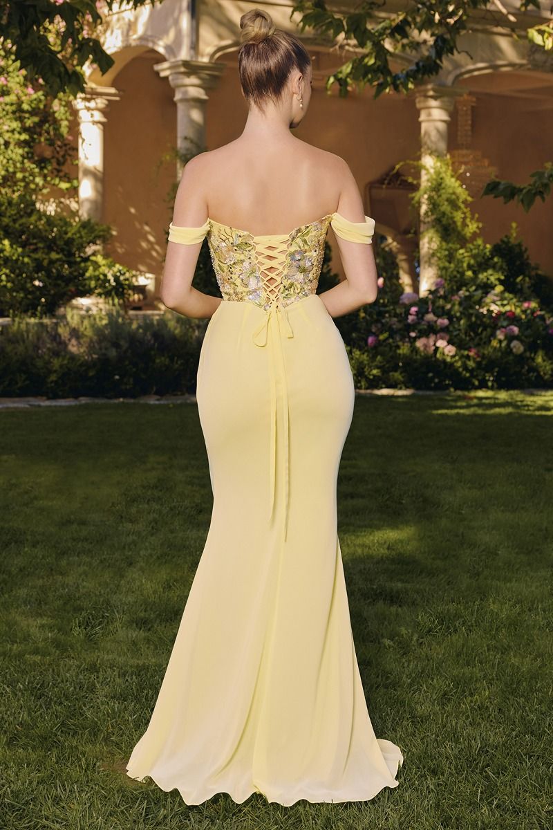 Off-the-Shoulder Embroidered Chiffon Mermaid Gown with Corset Back (T721)
